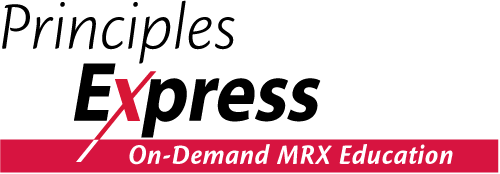 Principles Express: On-Demand Market Research Education logo