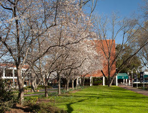 UGA Continuing Education in Athens