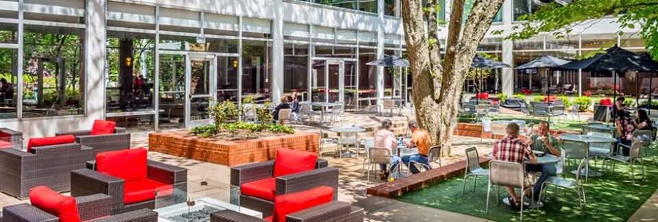 UGA Hotel's Pecan Tree Courtyard is a relaxing outdoor dining space