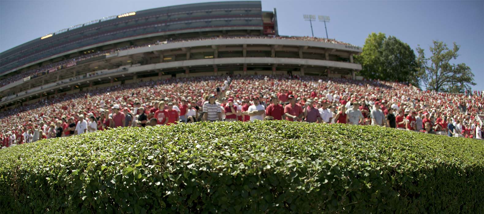 Detail of the hedges at Sanford Stadium during the University of Georgia vs. Marshall football game.