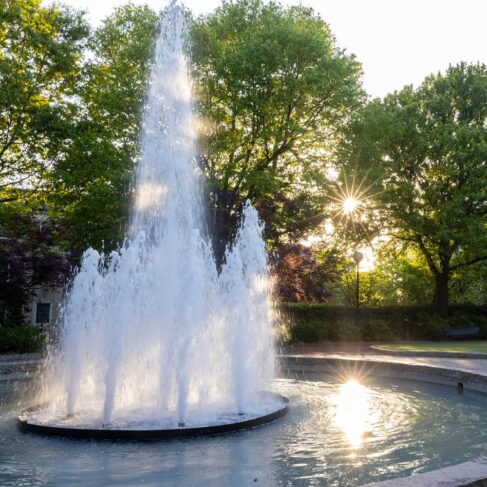 Campus scenic of the Sun setting over Herty Field during Spring.