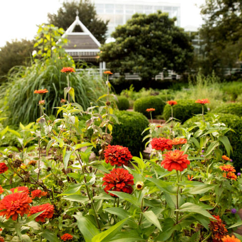 UGA Botanical Garden