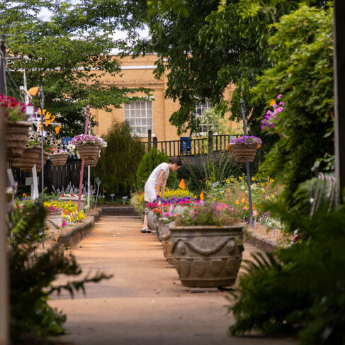 Campus scenic of a woman looking at plants and flowers at the University of Georgia Trial Garden.