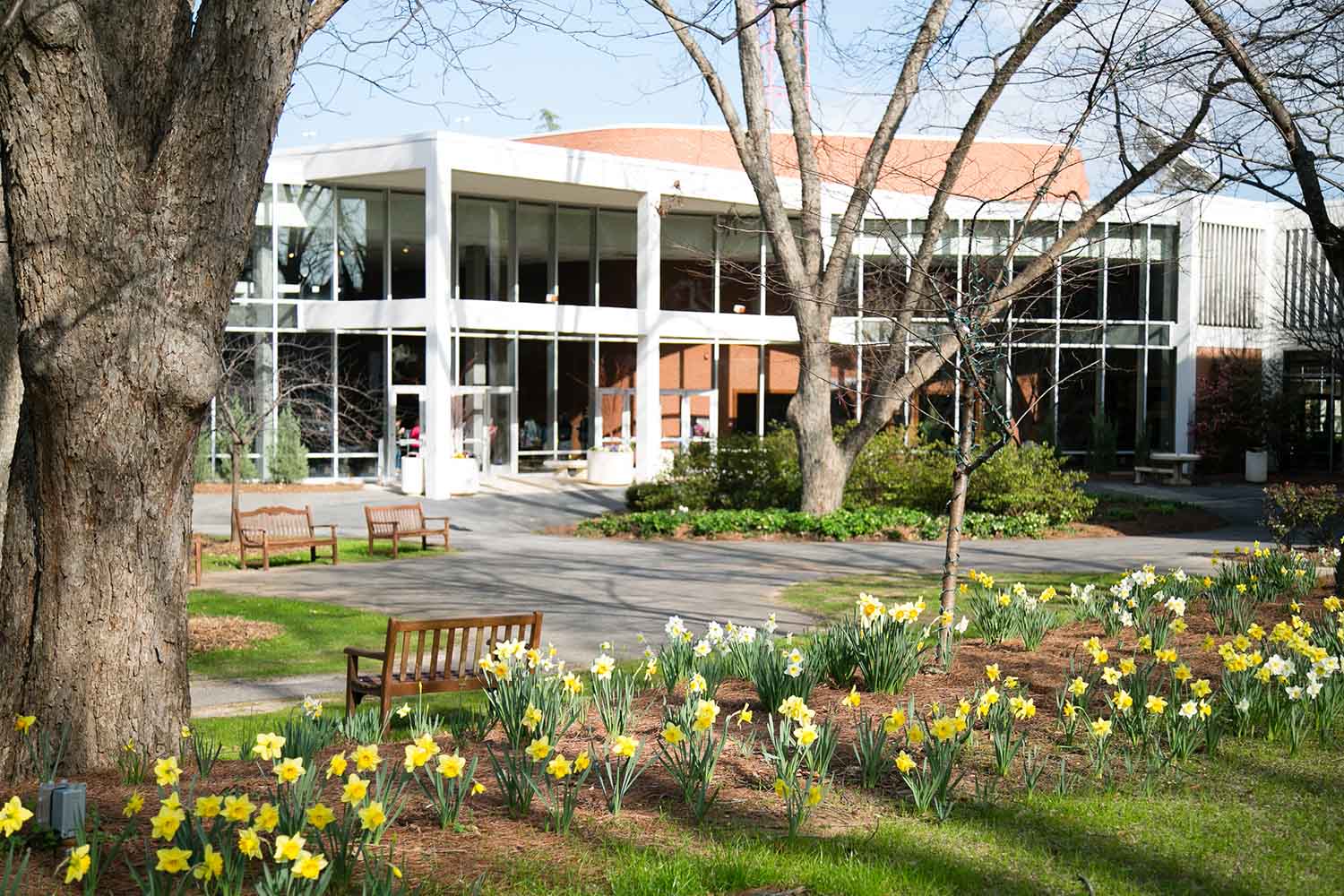 View of the Georgia Center looking across Lumpkin Plaza with trees and flowers in the foreground
