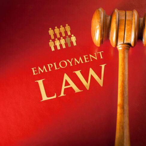 Image of a red book titled “Employment Law” with gold text. A judge’s wooden gavel rests on top of the book, symbolizing legal authority and justice in the context of workplace regulations and labor rights.