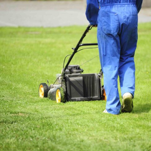 Three landscapers in uniform mowing and cleaning a green grass area with lawn equipment, focusing on maintenance and greenery