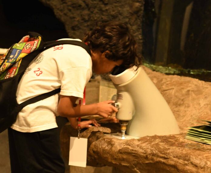 Student wearing a backpack is looking through a tubular display at a museum.