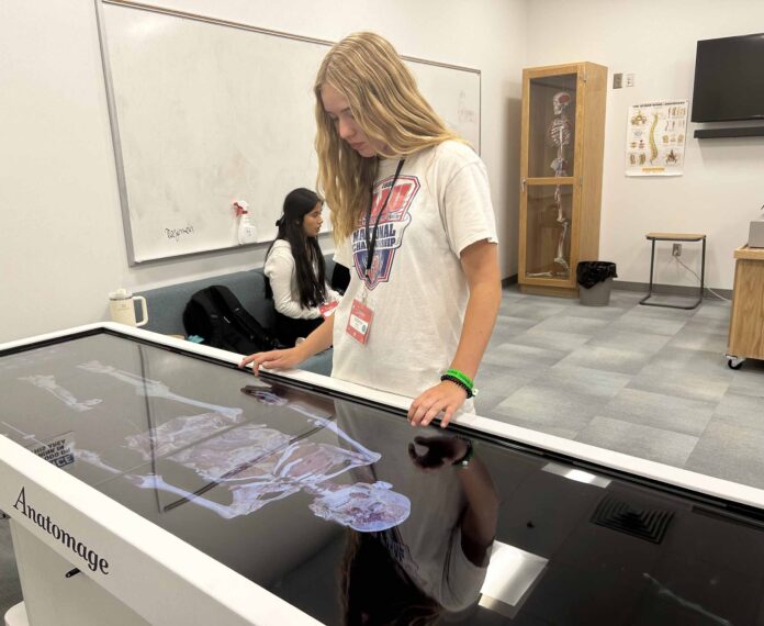 Student stands over glass encasement of a skeleton and examining the bones