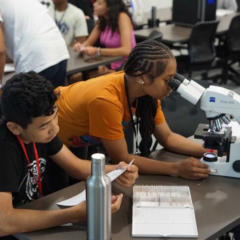 Students work at their workstation while looking through microscope on a project