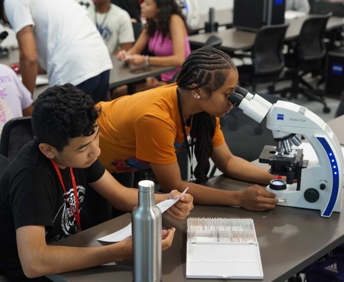 Students work at their workstation while looking through microscope on a project