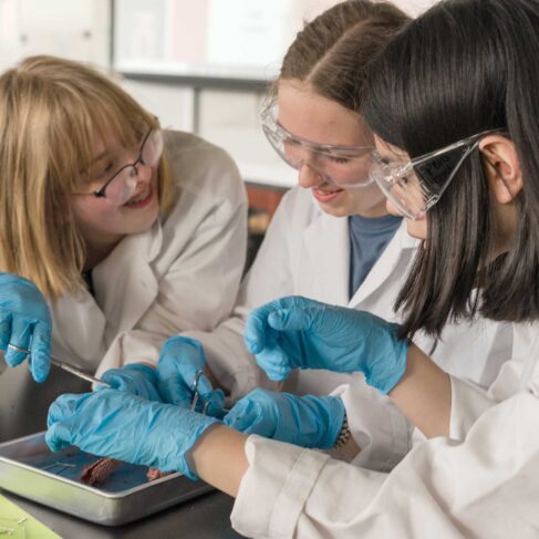 Students wearing lab coat and blue gloves looking into a metal tray