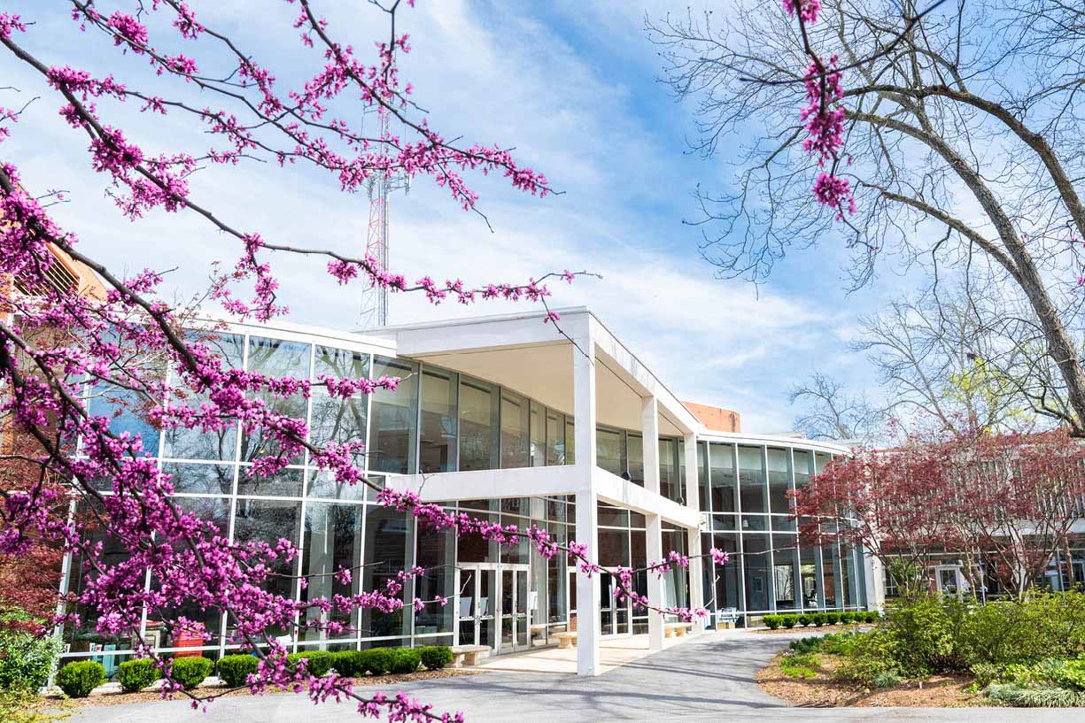 View of the Georgia Center conference entrance and flowering trees and bushes in Lumpkin Plaza.