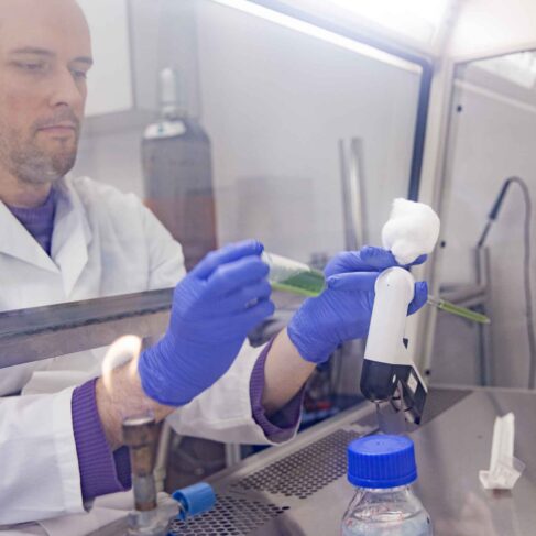 Biochemist Performing an Experiment in Controlled Environment in Laboratory.