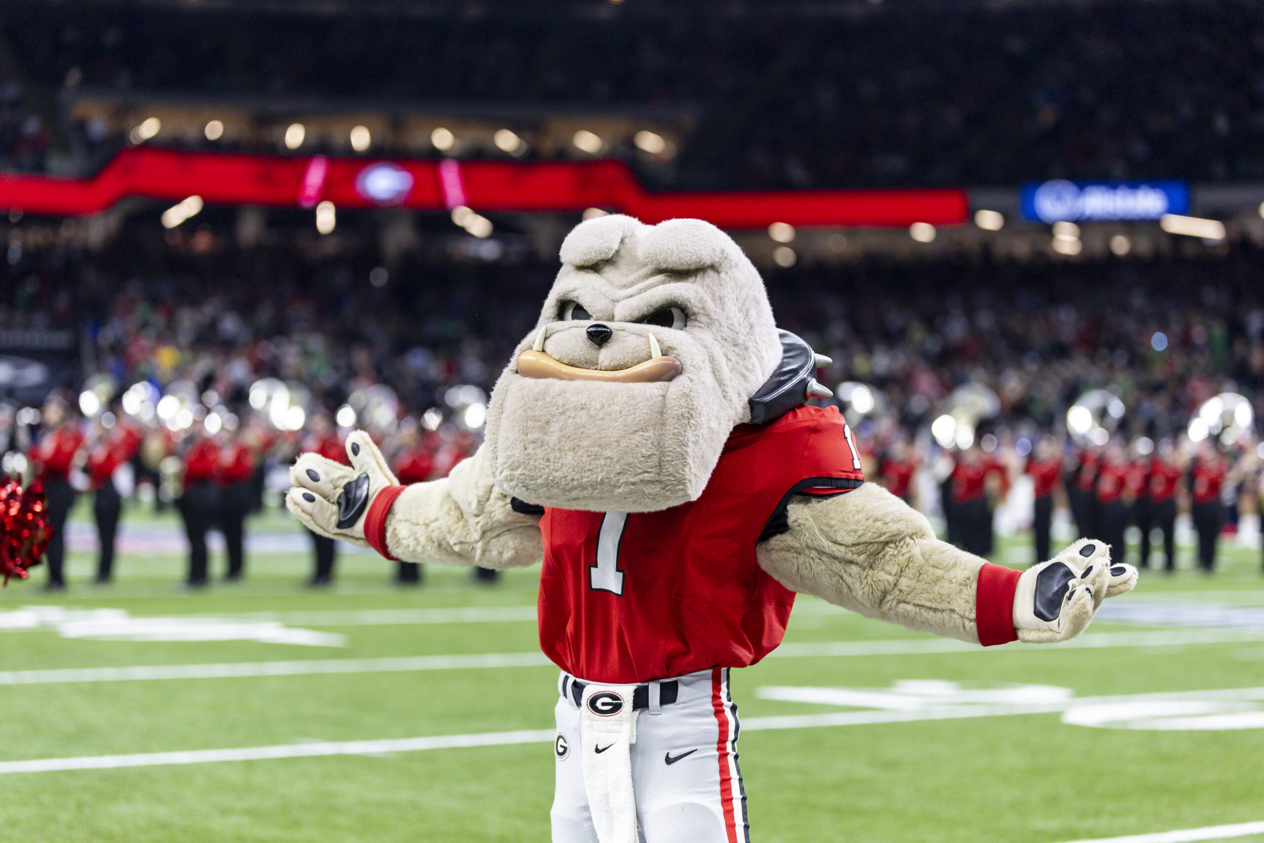 Hairy Dawg at the College Football Playoff Quarterfinal Sugar Bowl