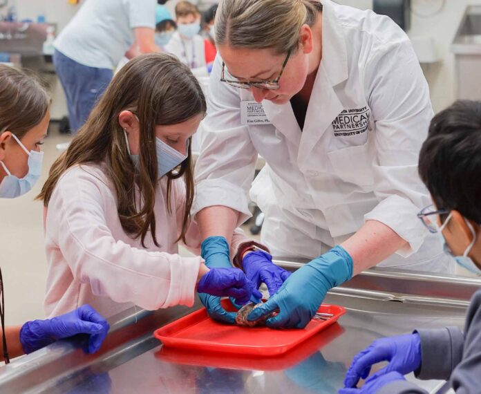 instructor and three students are looking at a brain on a red tray in a medical lab