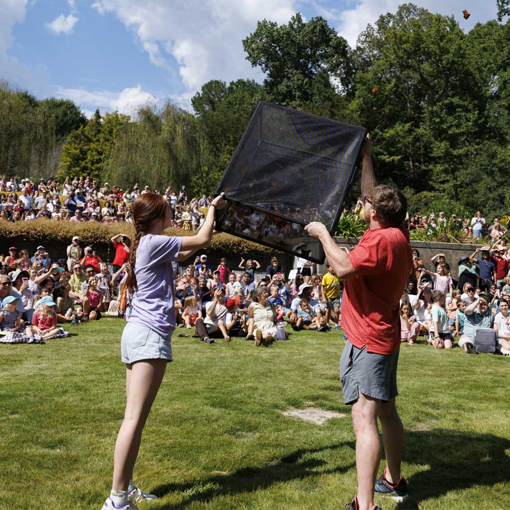 Botanical Gardens student worker Olivia Terrell and Matt Maudsley release monarch butterflies during the butterfly release at the Insectival at the State Botanical Garden of Georgia.