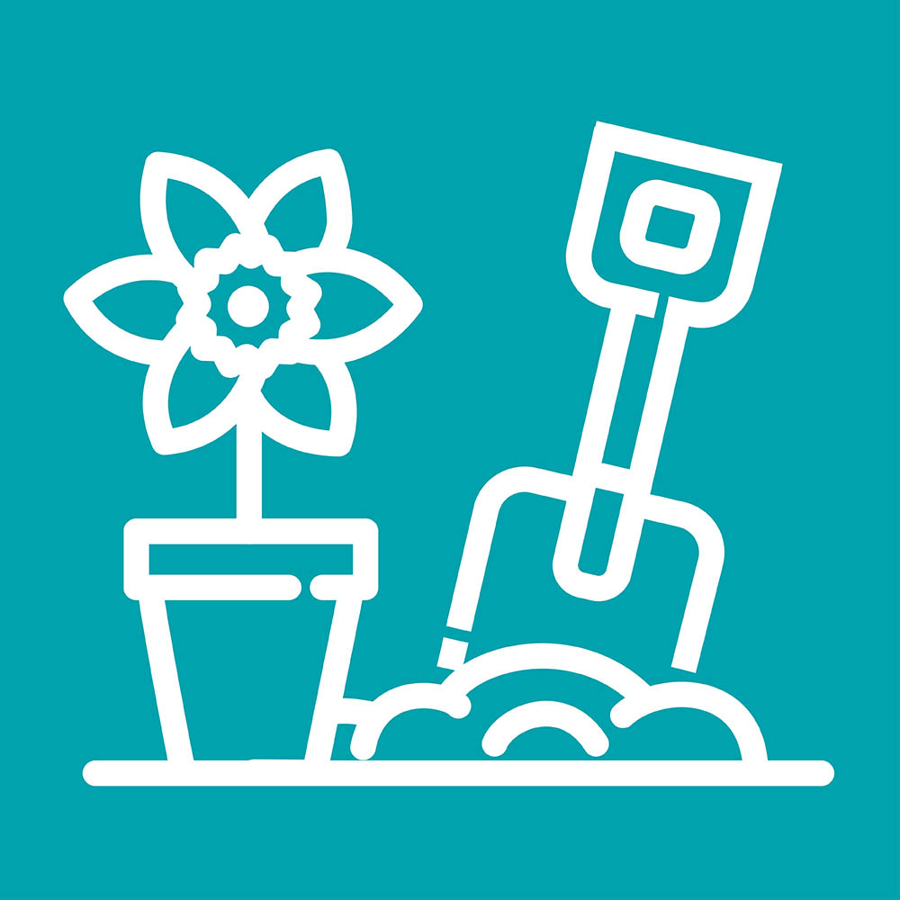 Redeveloping with Native Plants