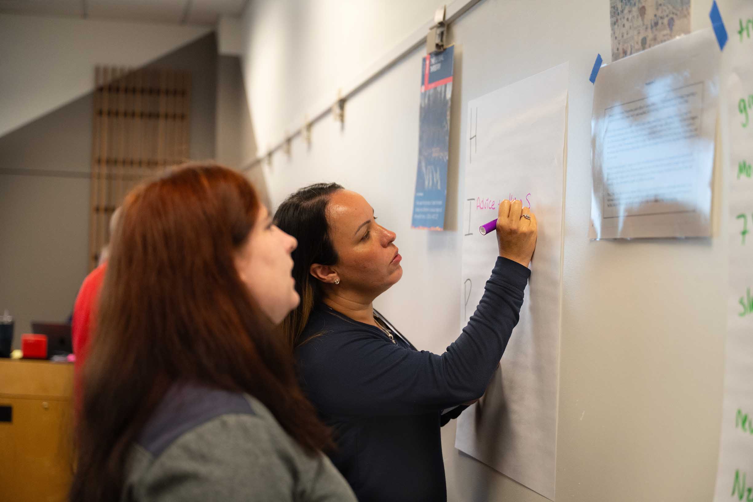 Advanced Placement® Summer Institutes for Teachers