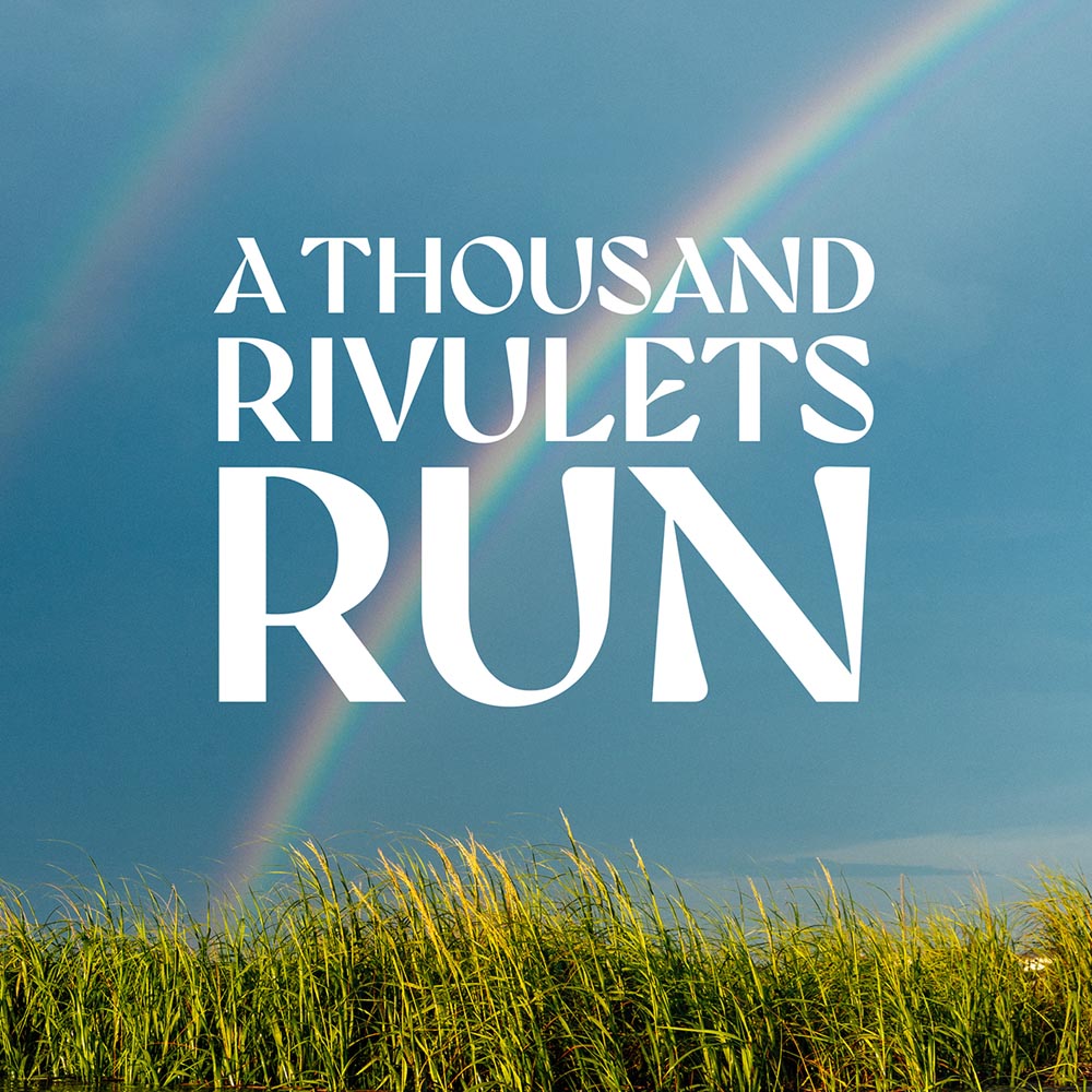 Cover of the movie poster call A Thousand Rivulets Run